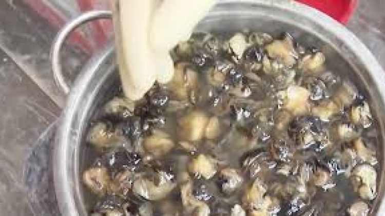 Ốc tẩm hóa chất đe dọa sức khỏe con người