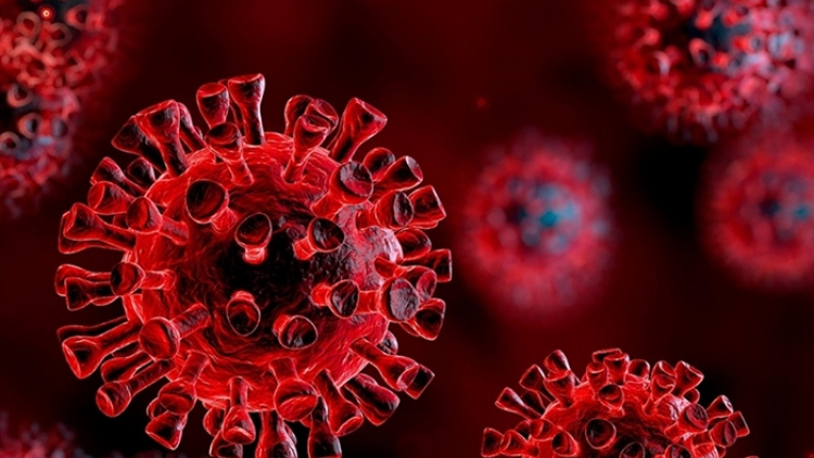 Biến thể SARS-CoV-2 BA.3.2 lan rộng ở nhiều quốc gia, Bộ Y tế yêu cầu theo dõi