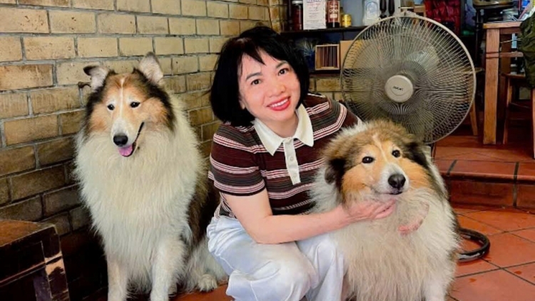 Phòng ngừa nguy cơ mất an toàn từ thú cưng