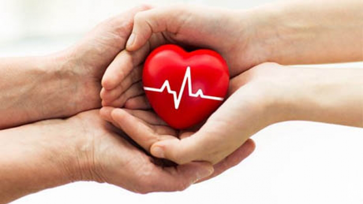 Khi hạnh phúc không dừng ở một đời người: Hiến tạng cứu sống 8 người