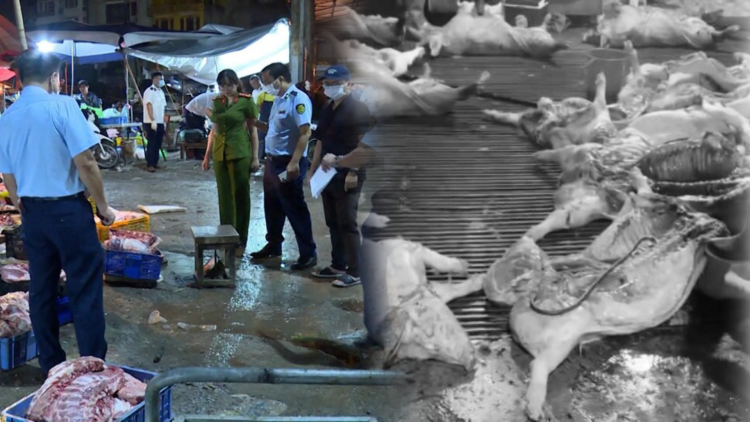 300 tấn thịt heo bệnh vào trường học: Cơ quan chủ quản nói gì?