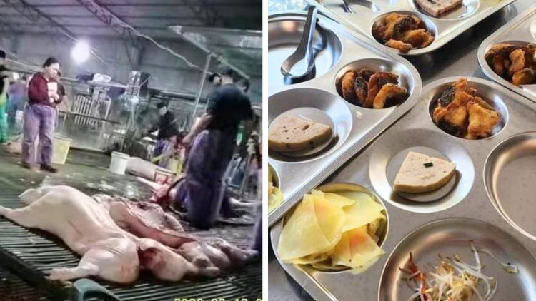 Bộ GD-ĐT yêu cầu các trường công khai đơn vị cung cấp thực phẩm, suất ăn bán trú