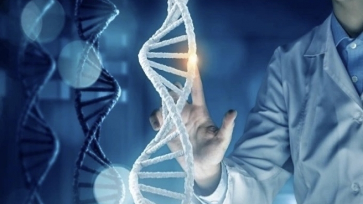 Trẻ mắc bệnh bẩm sinh không chỉ do gene