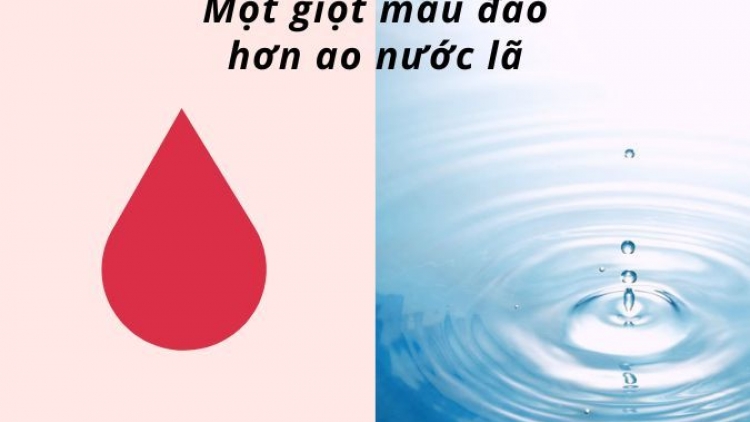 Một giọt máu đào có hơn ao nước lã?