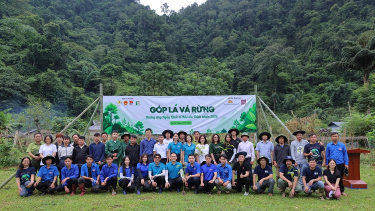 "Góp lá vá rừng" chung tay phục hồi 72 hécta rừng tự nhiên tại Vân Hồ
