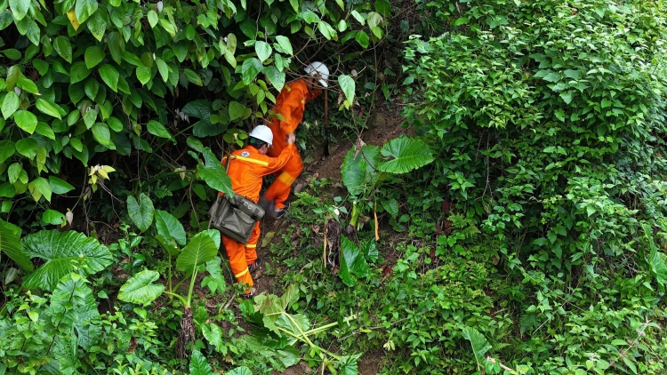 Canh giữ dòng điện giữa đại ngàn phía Tây Nghệ An