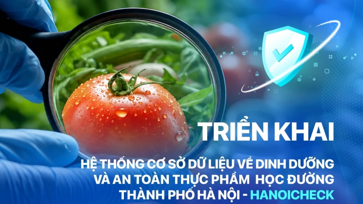 HanoiCheck: Hà Nội kiểm soát bữa ăn bán trú từ nguồn đến bàn ăn