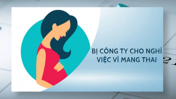 Công ty cho nghỉ việc vì mang thai