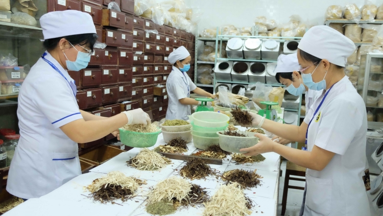 Thủ tướng: Phát triển y học cổ truyền gắn với chăm sóc sức khỏe toàn diện