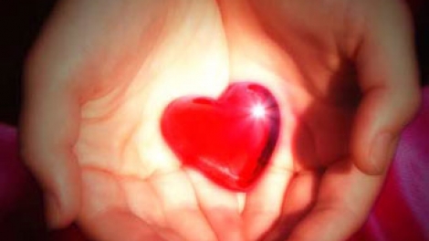 Ảnh minh họa (nguồn internet)