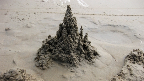 Ảnh minh họa (nguồn internet)