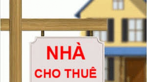 Ảnh minh họa (nguồn internet)