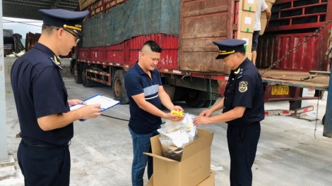 Buôn lậu, gian lận thương mại, hàng giả vẫn diễn biến phức tạp