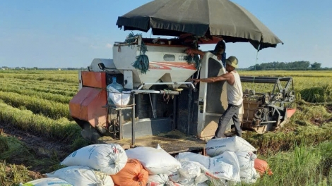 Nông dân thoát nghèo nhờ được dạy nghề làm nông nghiệp