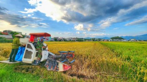 Chế phẩm sinh học là hướng đi bền vững cho nông nghiệp xanh