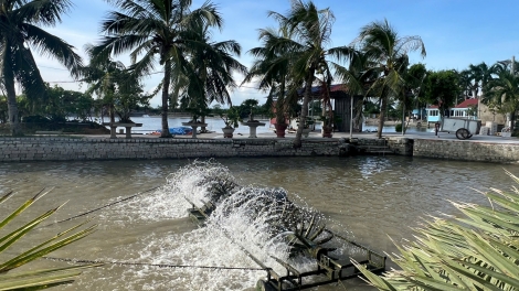 Cựu chiến binh thành phố Hải Phòng cùng giúp nhau thoát nghèo