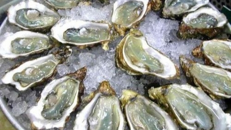Nguy cơ nhiễm khuẩn Vibrio vulnificus khi ăn hàu sống
