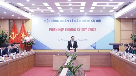 Bổ nhiệm Hội đồng quản lý BHXH