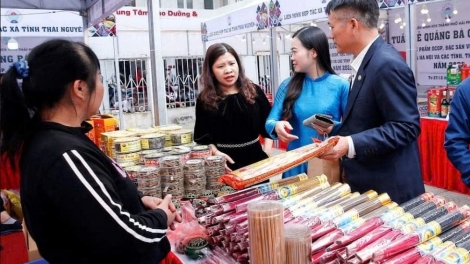 Mô hình hợp tác xã góp phần phát triển làng hương Quảng Phú Cầu