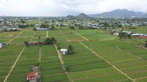 Câu chuyện về hành trình phát huy thế mạnh địa phương