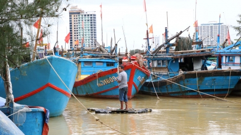 sống chung với biến đổi khí hậu