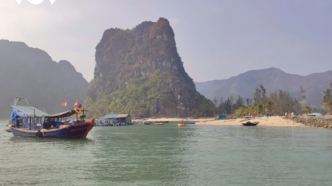 Quảng Ninh đẩy mạnh truyền thông gỡ thẻ vàng IUU