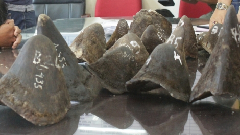 Chu Đăng Khoa bị bắt ở Nam Phi