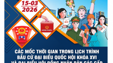 Các mốc thời gian quan trọng của đợt bầu cử