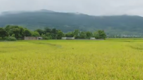 Tăng trưởng xanh hướng tới phát triển bền vững