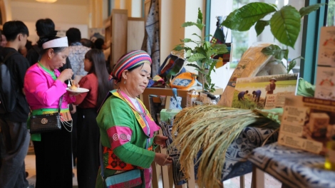 Chuyển đổi nông nghiệp sinh thái