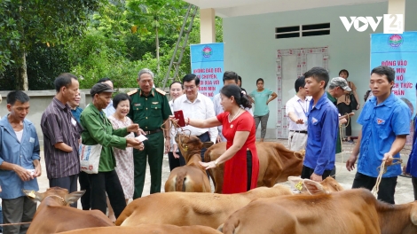 Những vị tướng nghỉ hưu không nghỉ việc