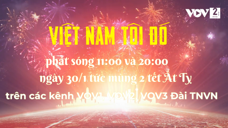 Chương trình Tết: “Việt Nam tôi đó”