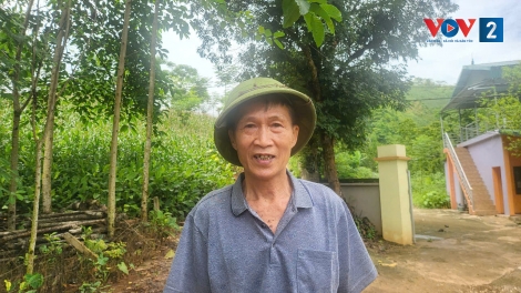 Từ khu vườn nhỏ, cụ ông lan tỏa cách sống đẹp 
