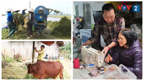 Hà Nội trao “cần câu” để người nghèo nỗ lực vươn lên