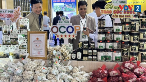 Hội chợ Mùa thu 2025 – Khi nông sản kể chuyện về vùng đất