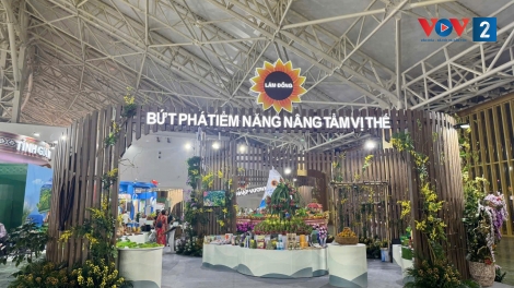 Lâm Đồng- mảng đa sắc giữa lòng Hội chợ mùa thu 2025