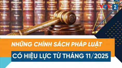 [Infographic] Chính sách pháp luật có hiệu lực từ tháng 11/2025