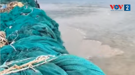 Thu gom và tái chế lưới đánh cá để bảo vệ môi trường