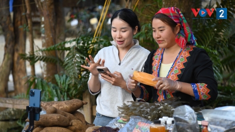 Livestream bán hàng mở ra nhiều cơ hội mới cho nông sản vùng cao