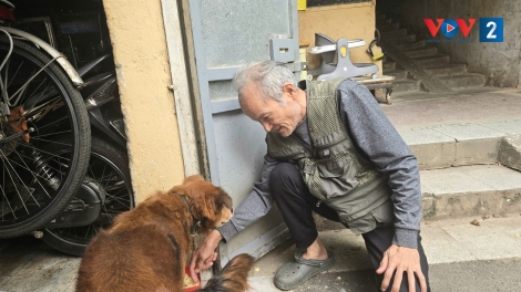 Liệu pháp tinh thần từ thú cưng cho người cao tuổi