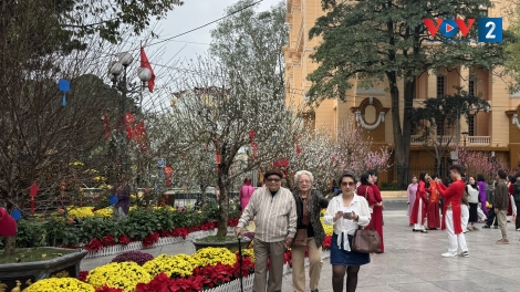 Những điều người cao tuổi cần chú ý khi đi du xuân