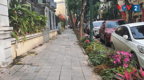 Hà Nội những ngày đầu xuân thông thoáng, sạch đẹp