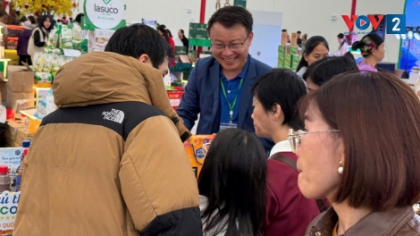 Hội chợ mùa xuân 2026 - Nơi gặp gỡ của người tiêu dùng và nhà sản xuất 