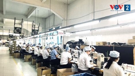 Sức khỏe người lao động: “Vốn quý” quyết định sức bật doanh nghiệp