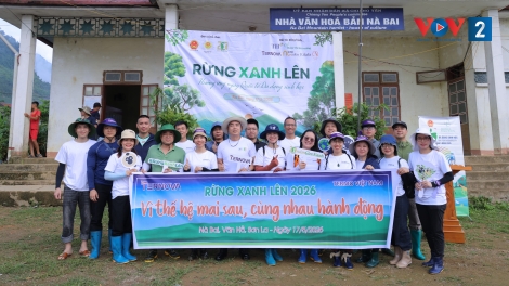 Chung tay trồng cây bản địa phục hồi rừng