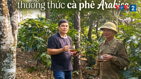 Về Sơn La hòa mình vào thiên nhiên và thưởng thức và phê Arabica trứ danh