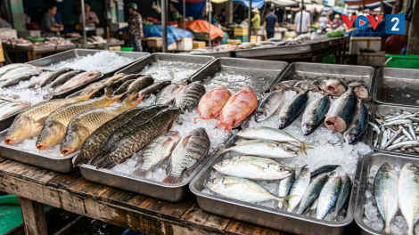 Cá nước ngọt hay cá nước mặn đều bổ dưỡng nếu lựa chọn đúng