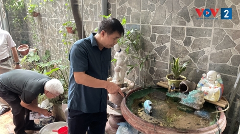 Hà Nội kích hoạt “lá chắn” phòng sốt xuất huyết từ cơ sở