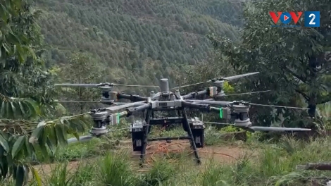 UAV chở gỗ gây sự cố đường dây 220kV Lào Cai