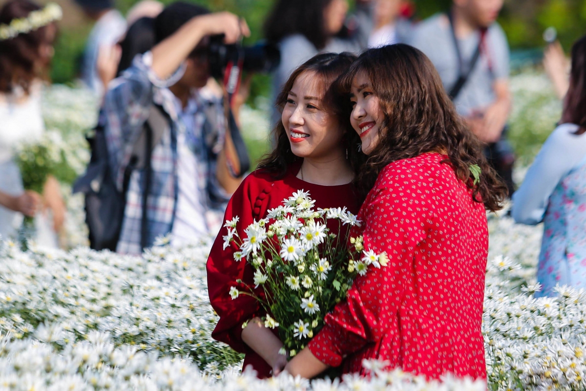 Thời điểm này, Bãi đá sông Hồng (Tây Hồ, Hà Nội) hàng ngày đón đông đảo du khách đến tham quan, chụp hình bên cúc họa mi trắng tinh khôi